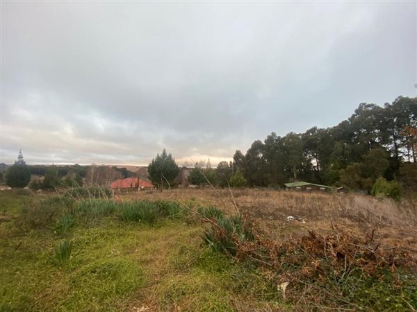 800 m² Land available in Dullstroom