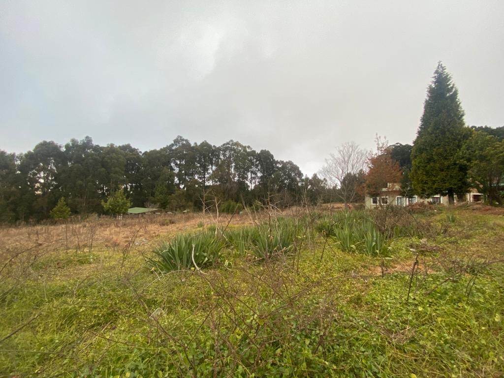 800 m² Land available in Dullstroom photo number 4