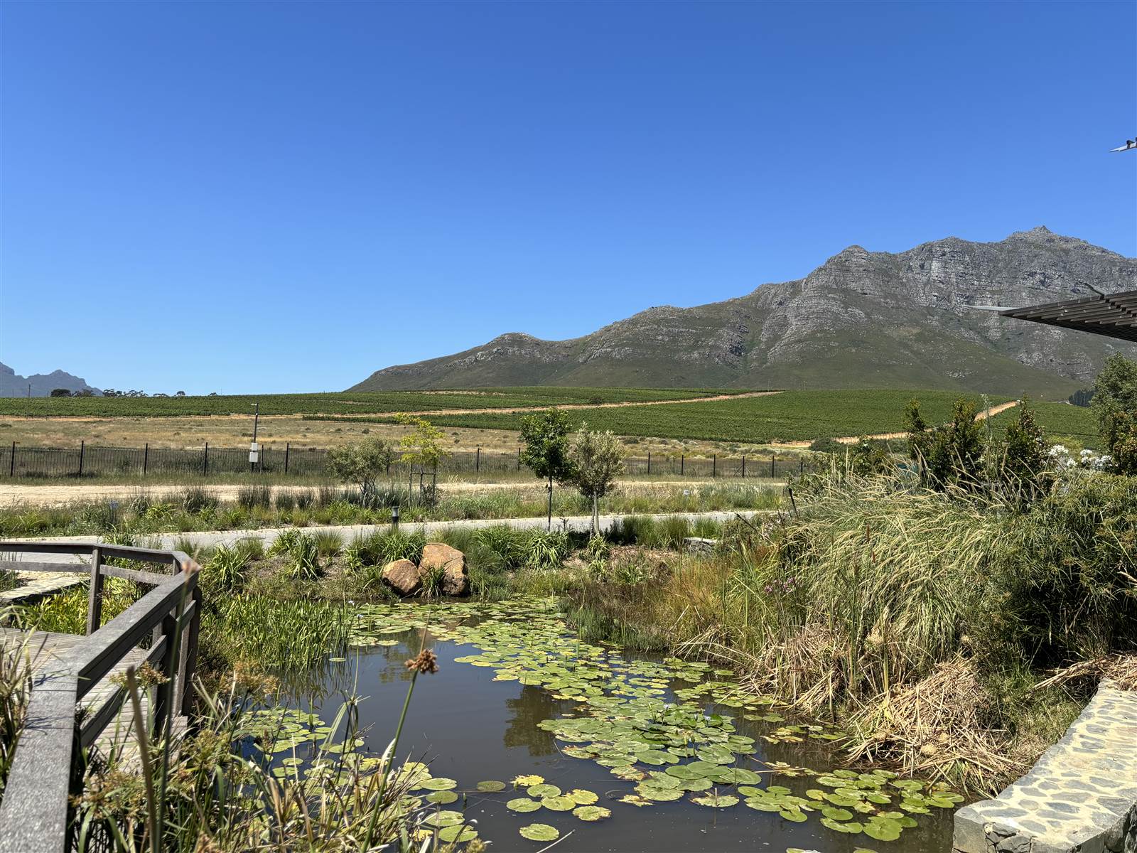 557 m² Land available in Paradyskloof photo number 10
