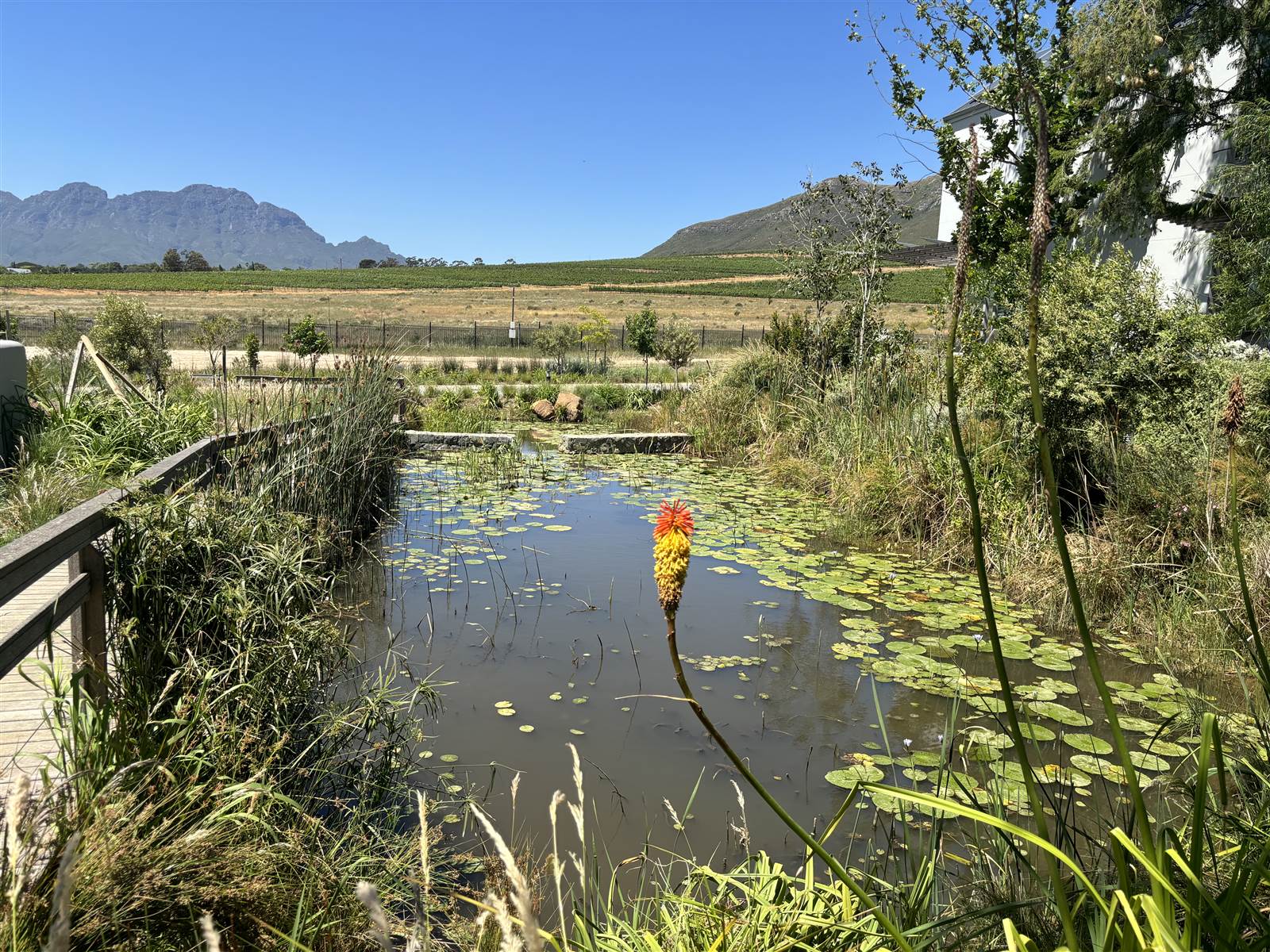 557 m² Land available in Paradyskloof photo number 9
