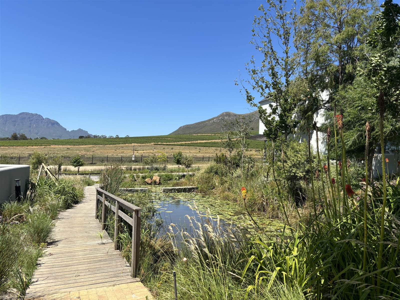 557 m² Land available in Paradyskloof photo number 8