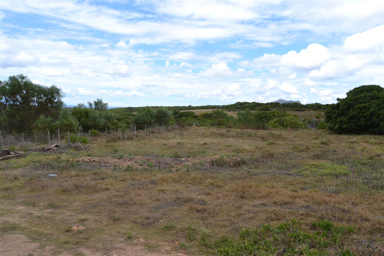 816 m² Land available in Albertinia photo number 1