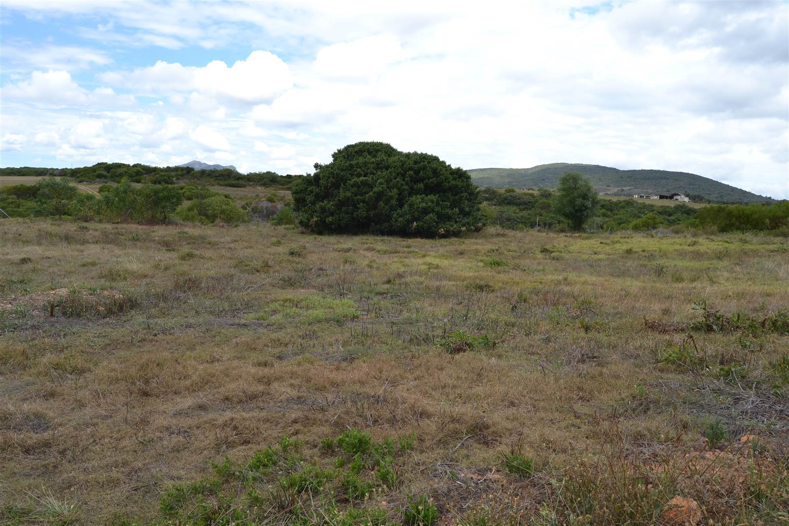 816 m² Land available in Albertinia photo number 9