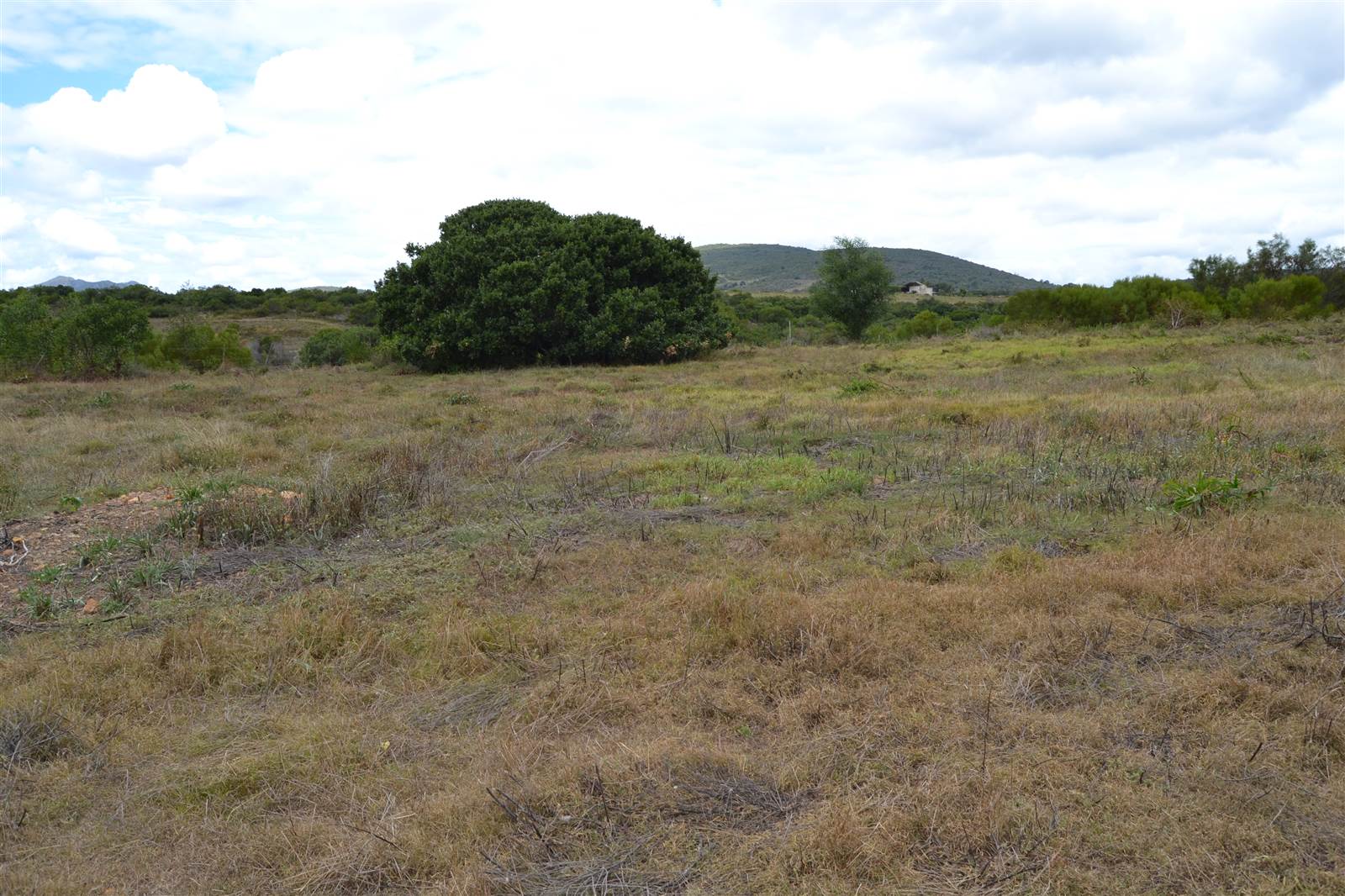 816 m² Land available in Albertinia photo number 10