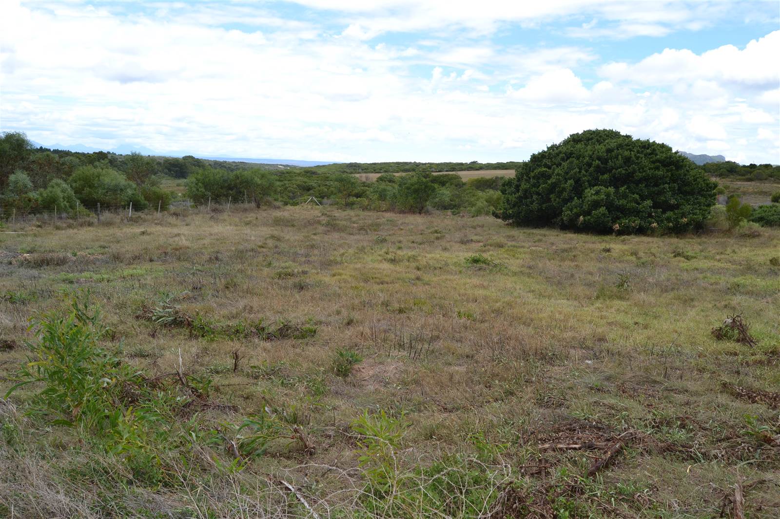 816 m² Land available in Albertinia photo number 2