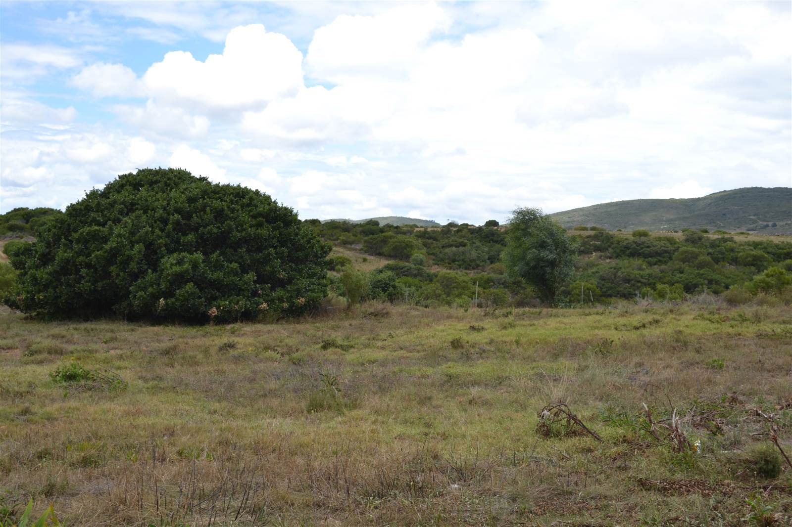 816 m² Land available in Albertinia photo number 7
