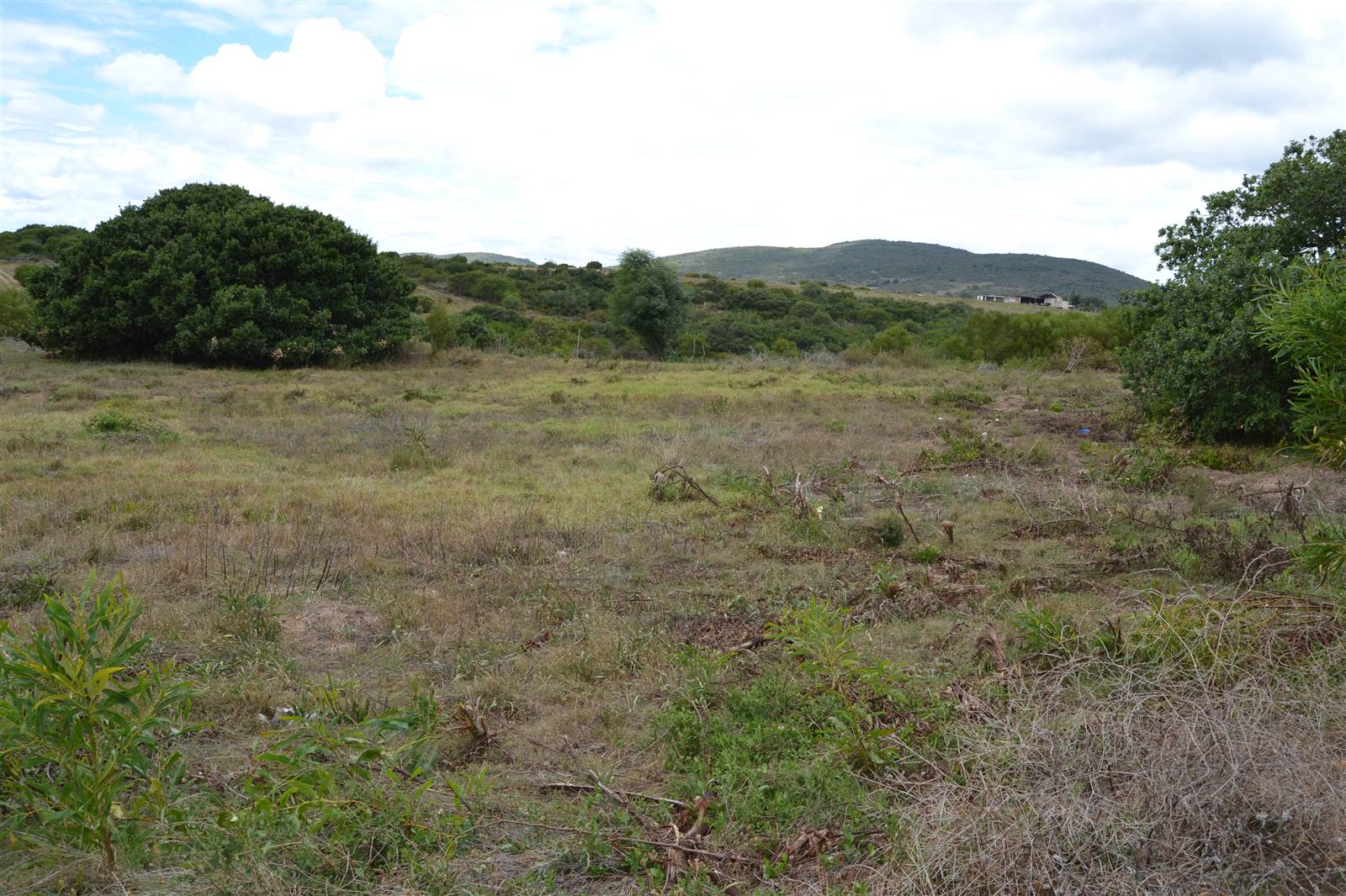 816 m² Land available in Albertinia photo number 3