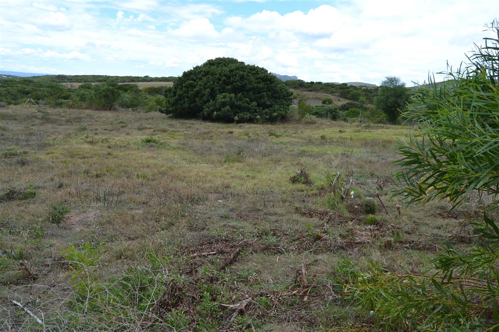 816 m² Land available in Albertinia photo number 5