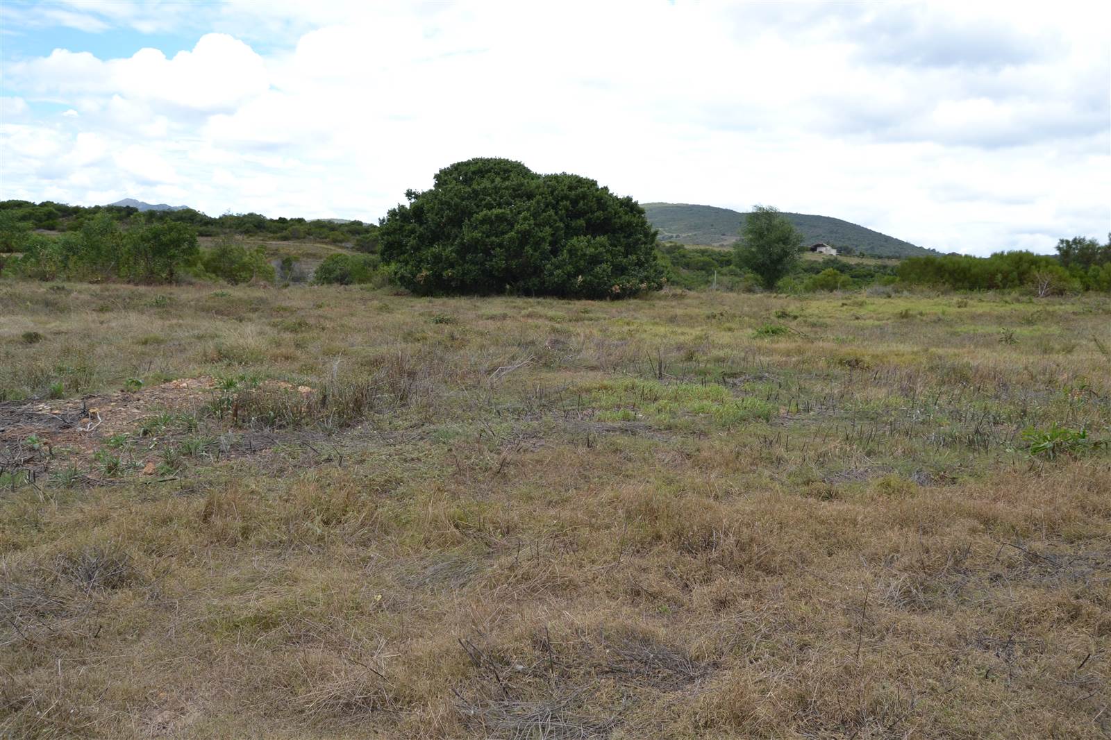 816 m² Land available in Albertinia photo number 4