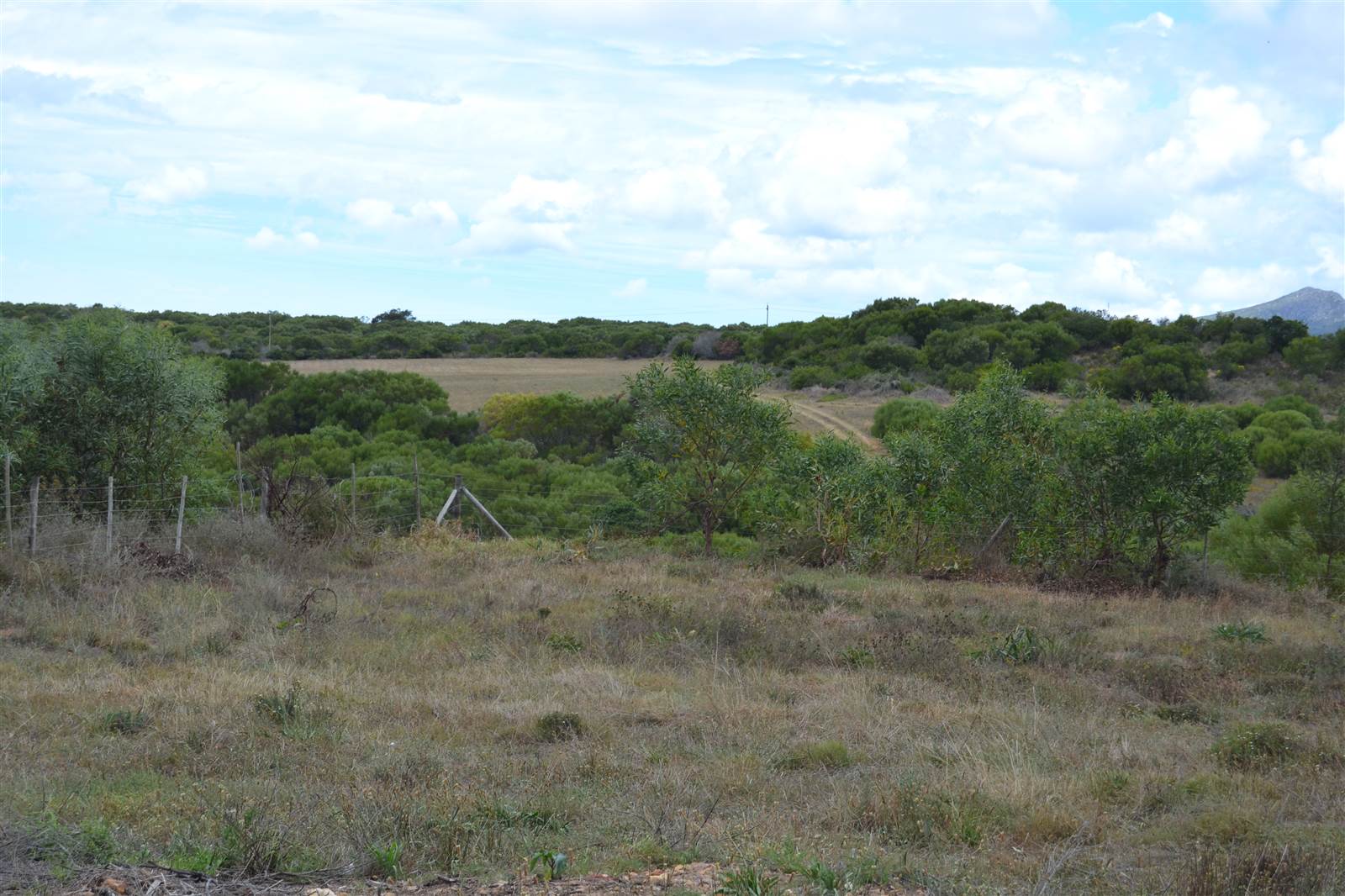 816 m² Land available in Albertinia photo number 8