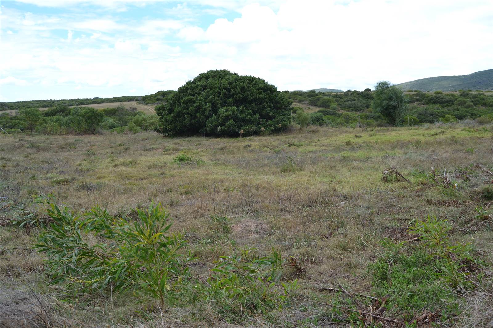 816 m² Land available in Albertinia photo number 12