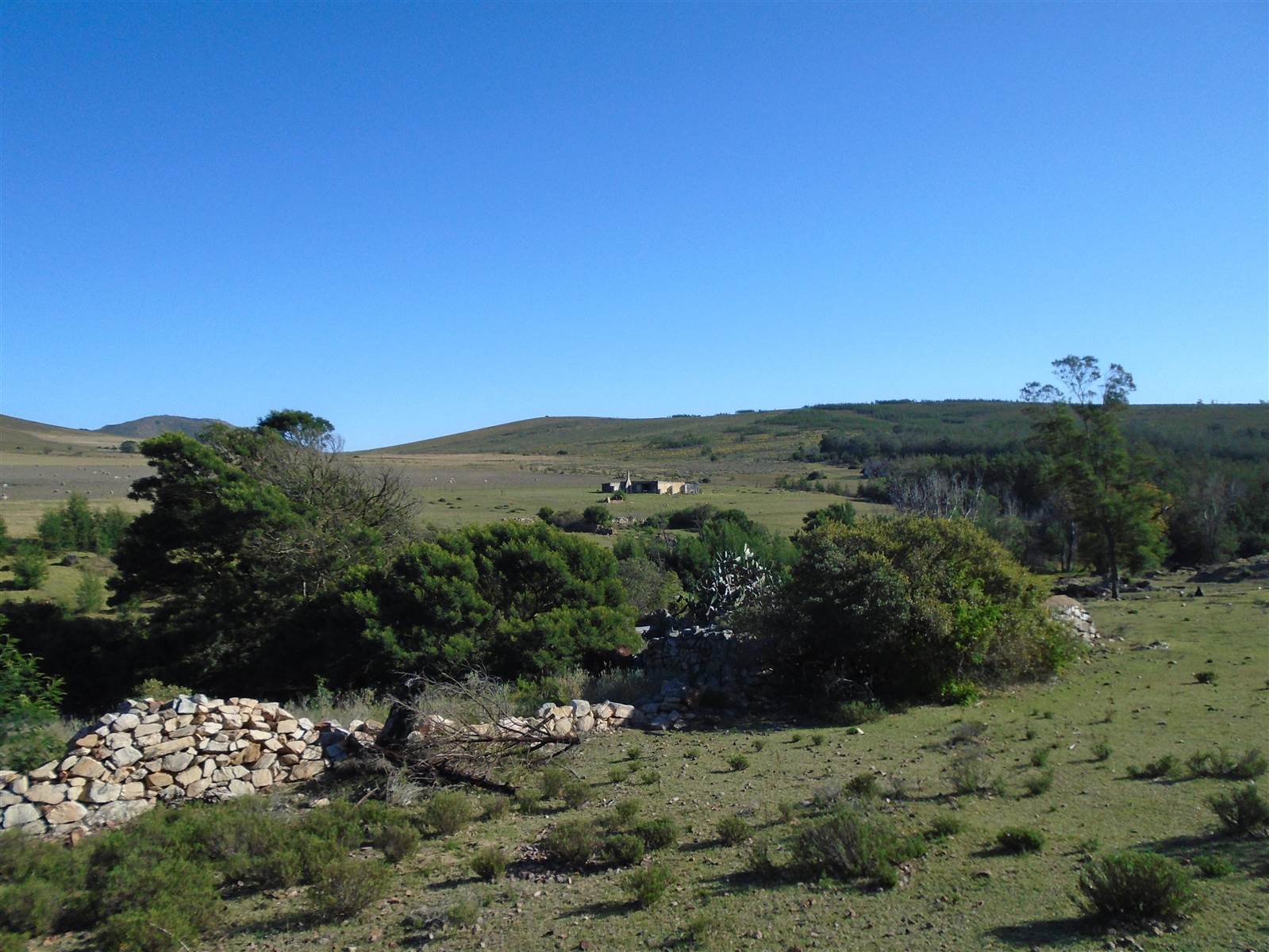 1235 ha Farm in Humansdorp photo number 6
