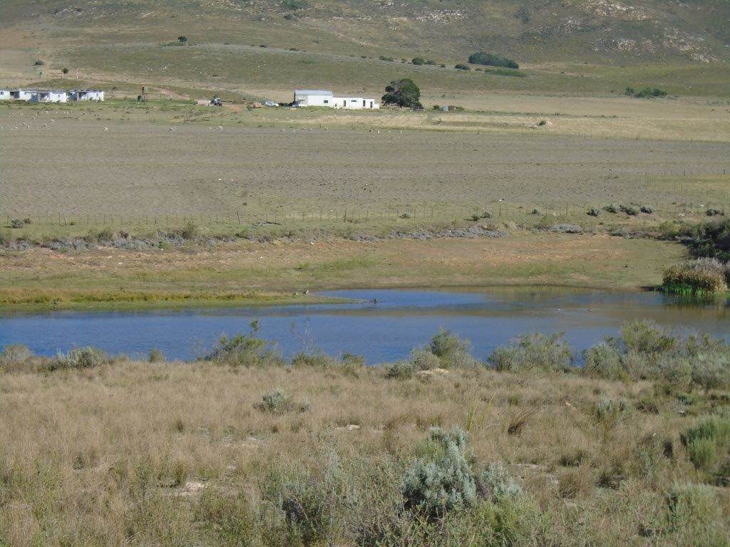 1235 ha Farm in Humansdorp photo number 8