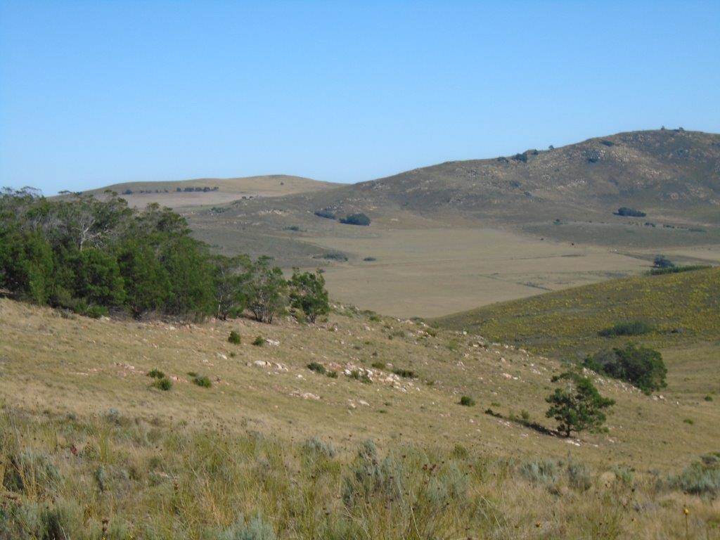 1235 ha Farm in Humansdorp photo number 9