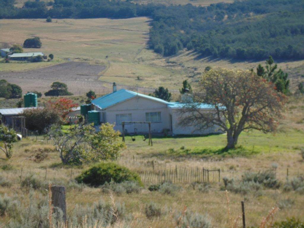 1235 ha Farm in Humansdorp photo number 4