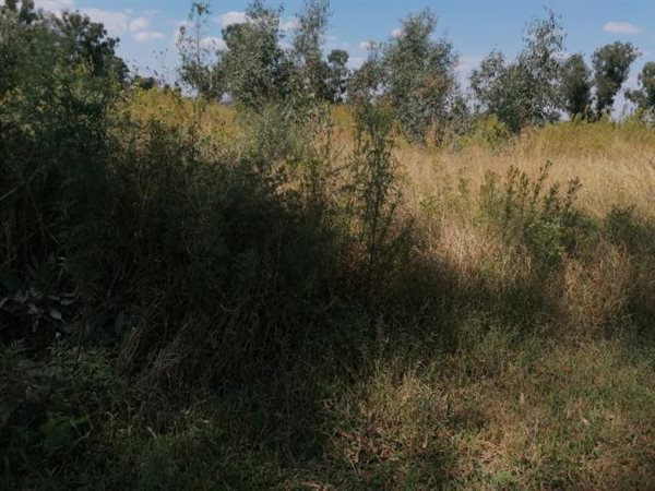 2048 m² Land available in Highbury