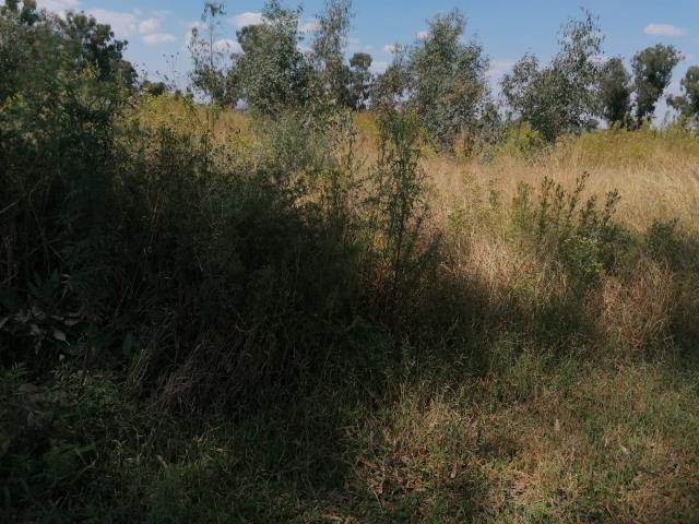 2048 m² Land available in Highbury photo number 1