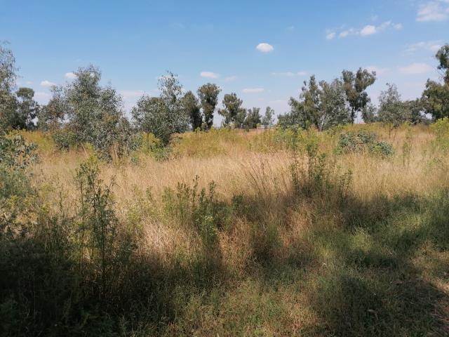 2048 m² Land available in Highbury photo number 5