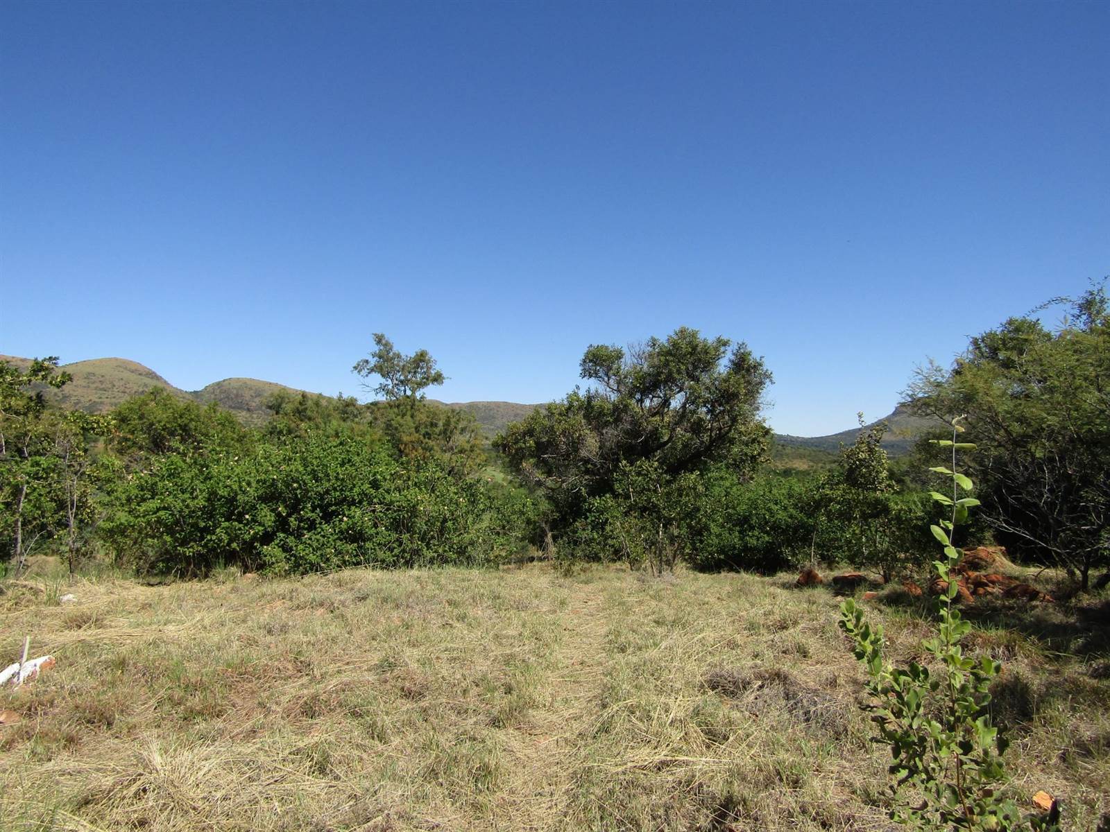 480 m² Land available in Seasons Lifestyle Estate photo number 3