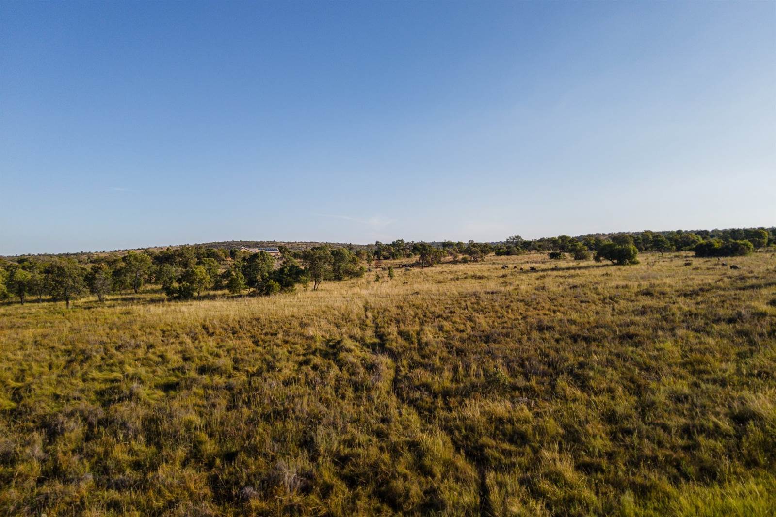 2 ha Land available in Cullinan and Surrounds photo number 14