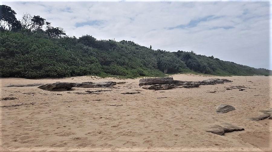 1512 m² Land available in Shelly Beach photo number 9