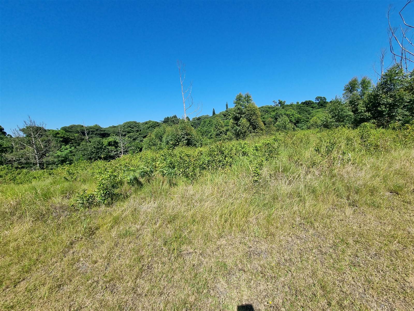 1277 m² Land available in Eshowe photo number 2