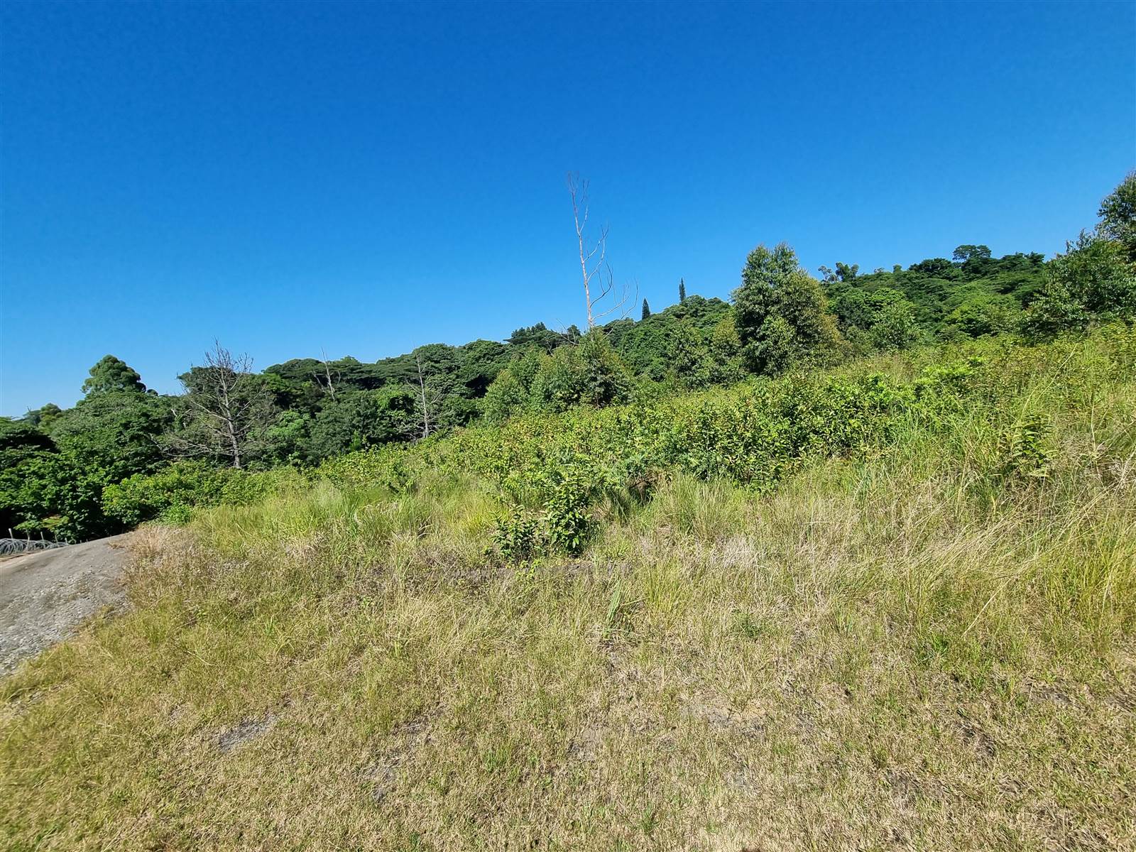 1277 m² Land available in Eshowe photo number 3
