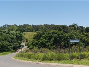1277 m² Land available in Eshowe