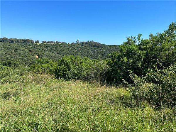 8565 m² Land available in Bathurst and Surrounds