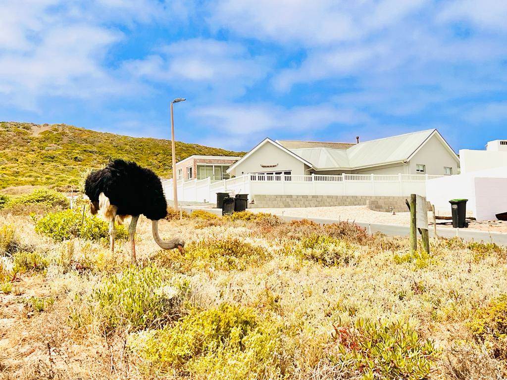 820 m² Land available in Yzerfontein photo number 10