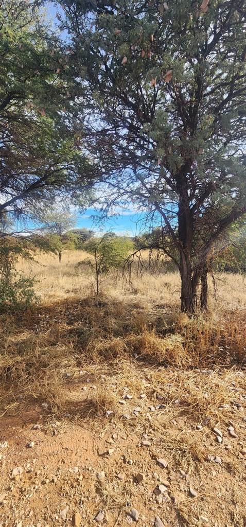 1002 m² Land available in Kathu photo number 4