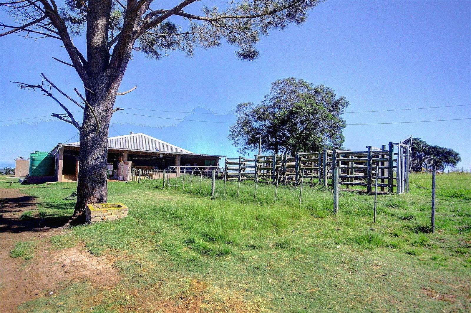 27 ha Farm in Wilderness photo number 24