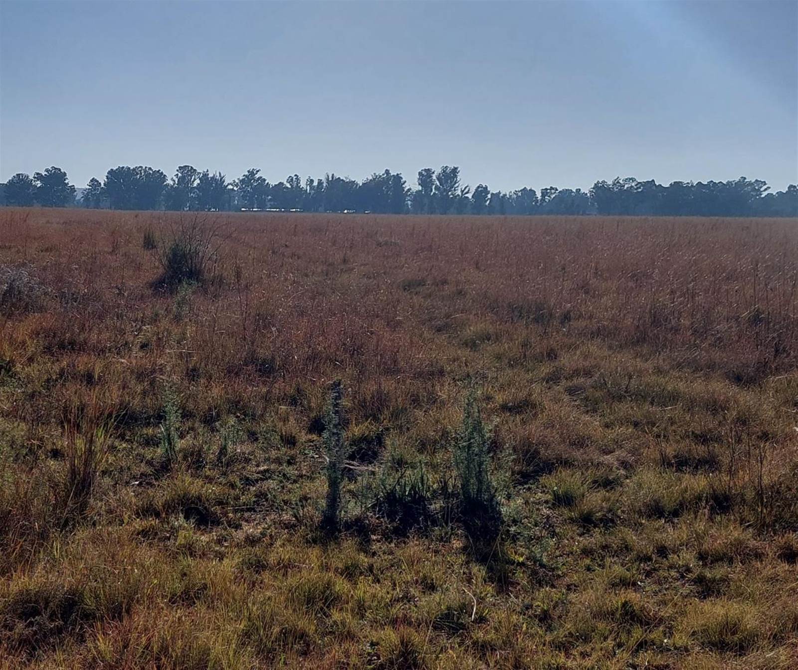 1.1 ha Land available in De Deur photo number 9