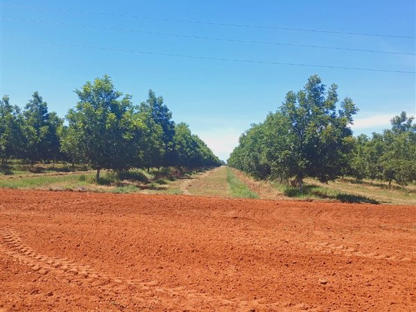 82 ha Farm 82 ha Farm