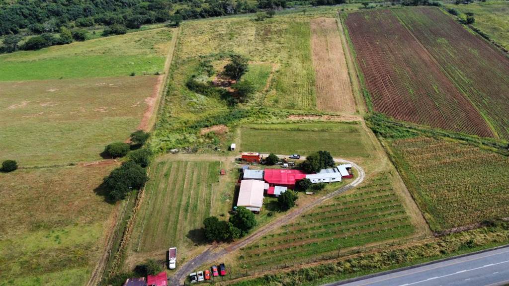 30 ha Farm in Waterval Boven photo number 1