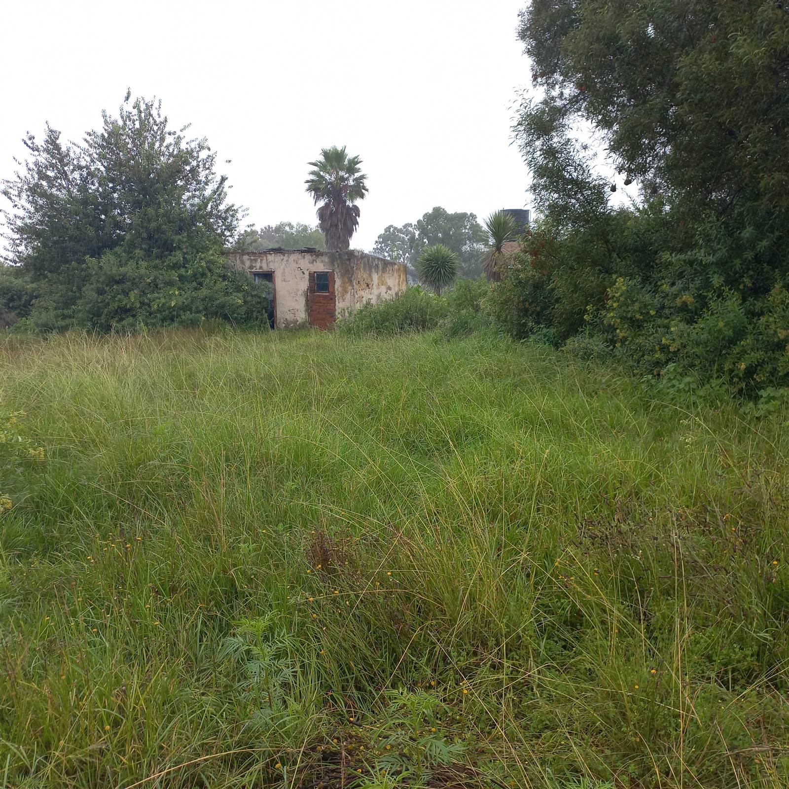 1.6 ha Smallholding in Benoni AH photo number 23