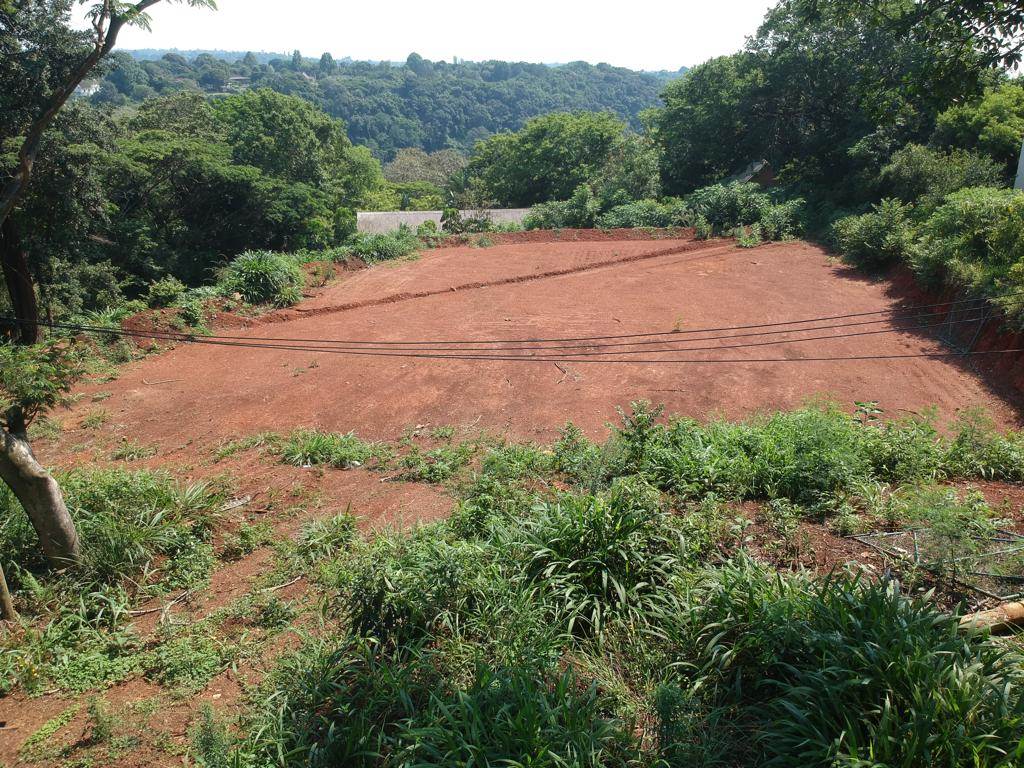 1800 m² Land available in Forest Hills photo number 12