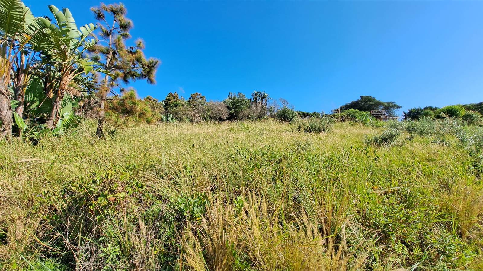 1754 m² Land available in Hibberdene photo number 5