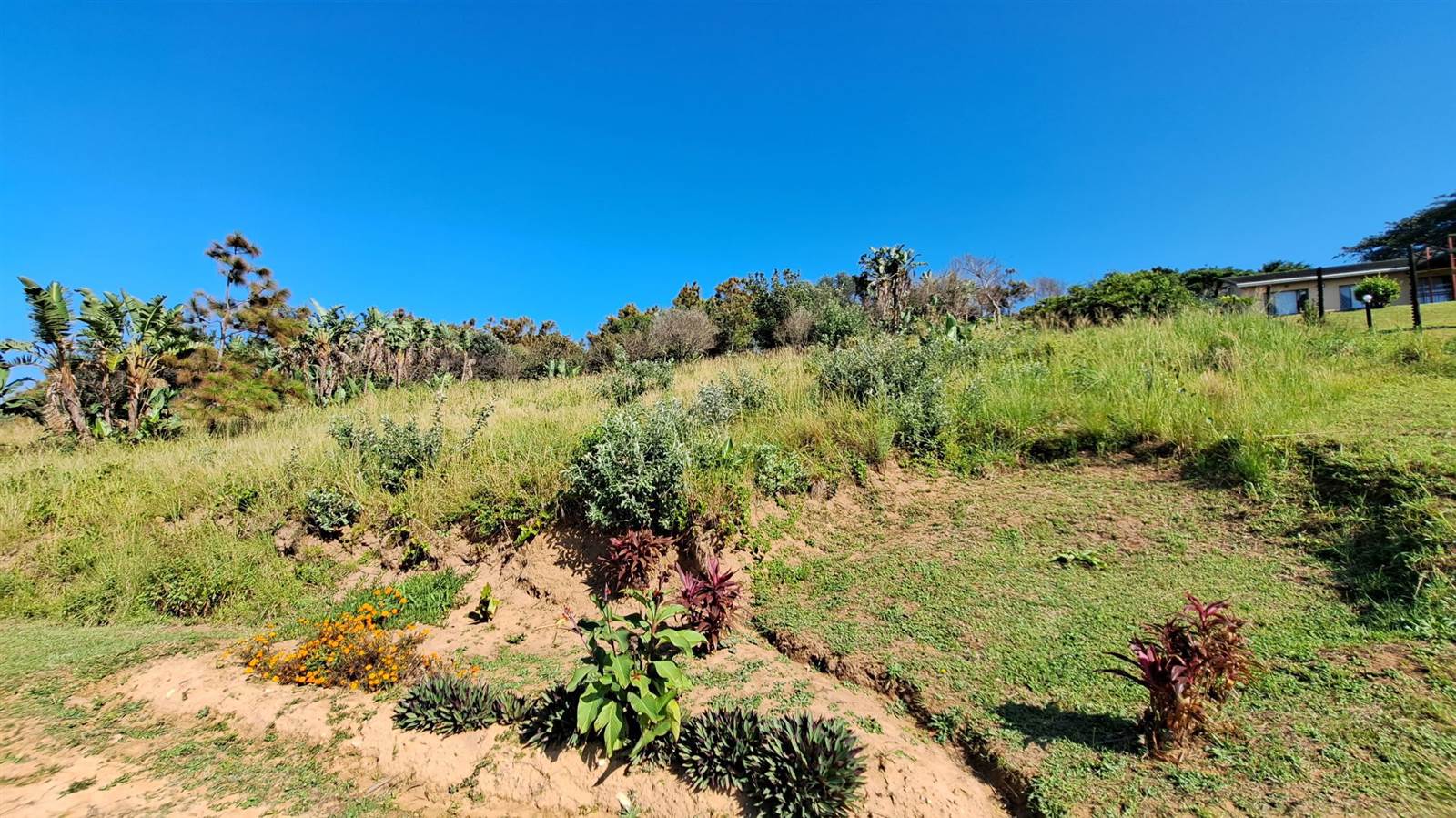 1754 m² Land available in Hibberdene photo number 8