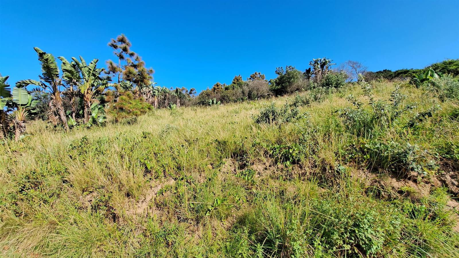 1754 m² Land available in Hibberdene photo number 6