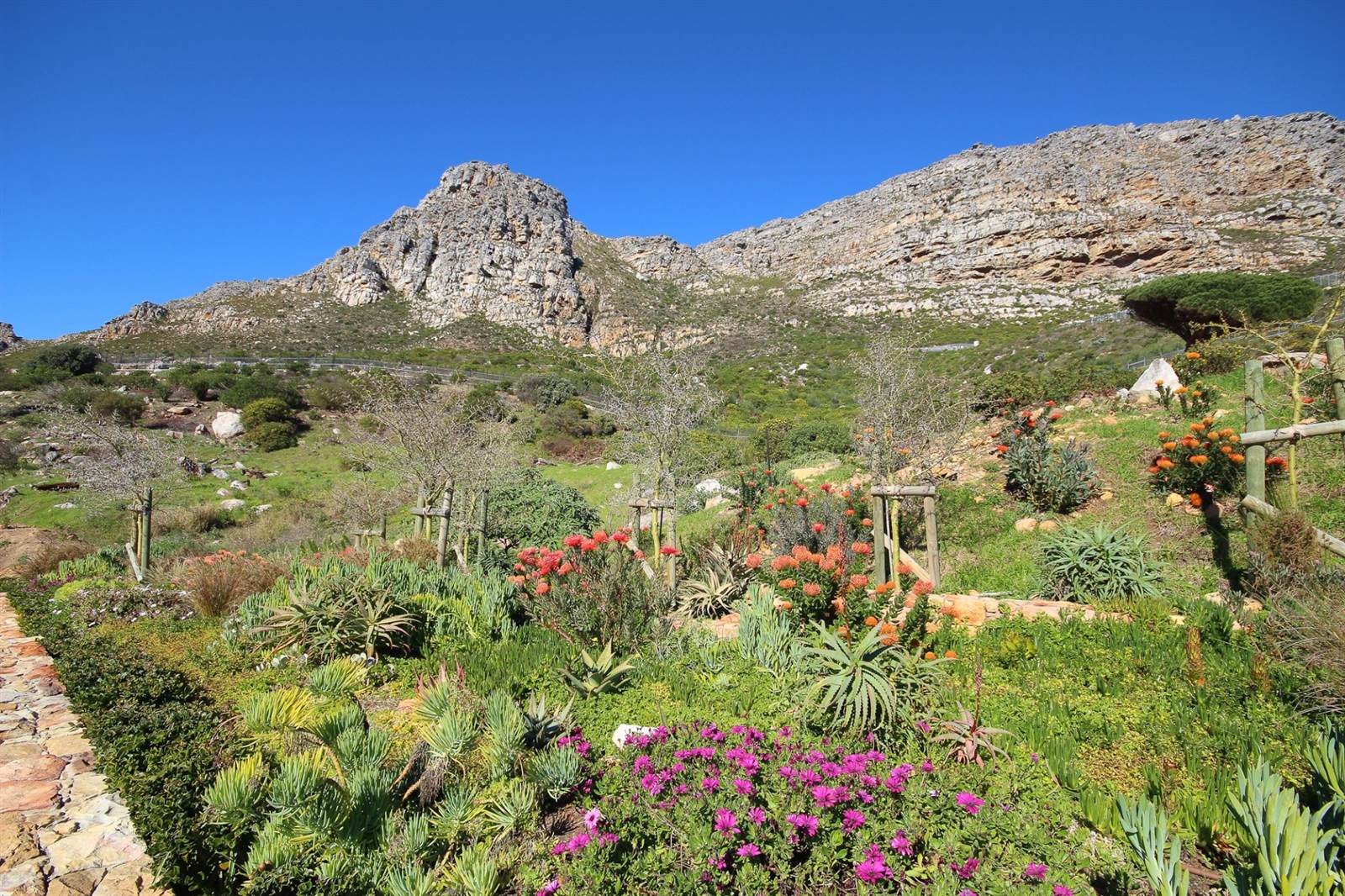 1002 m² Land available in Stonehurst Mountain Estate photo number 10