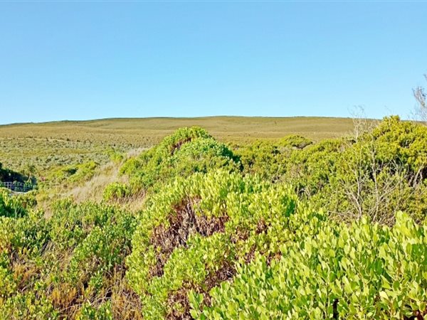 1500 m² Land available in Suiderstrand