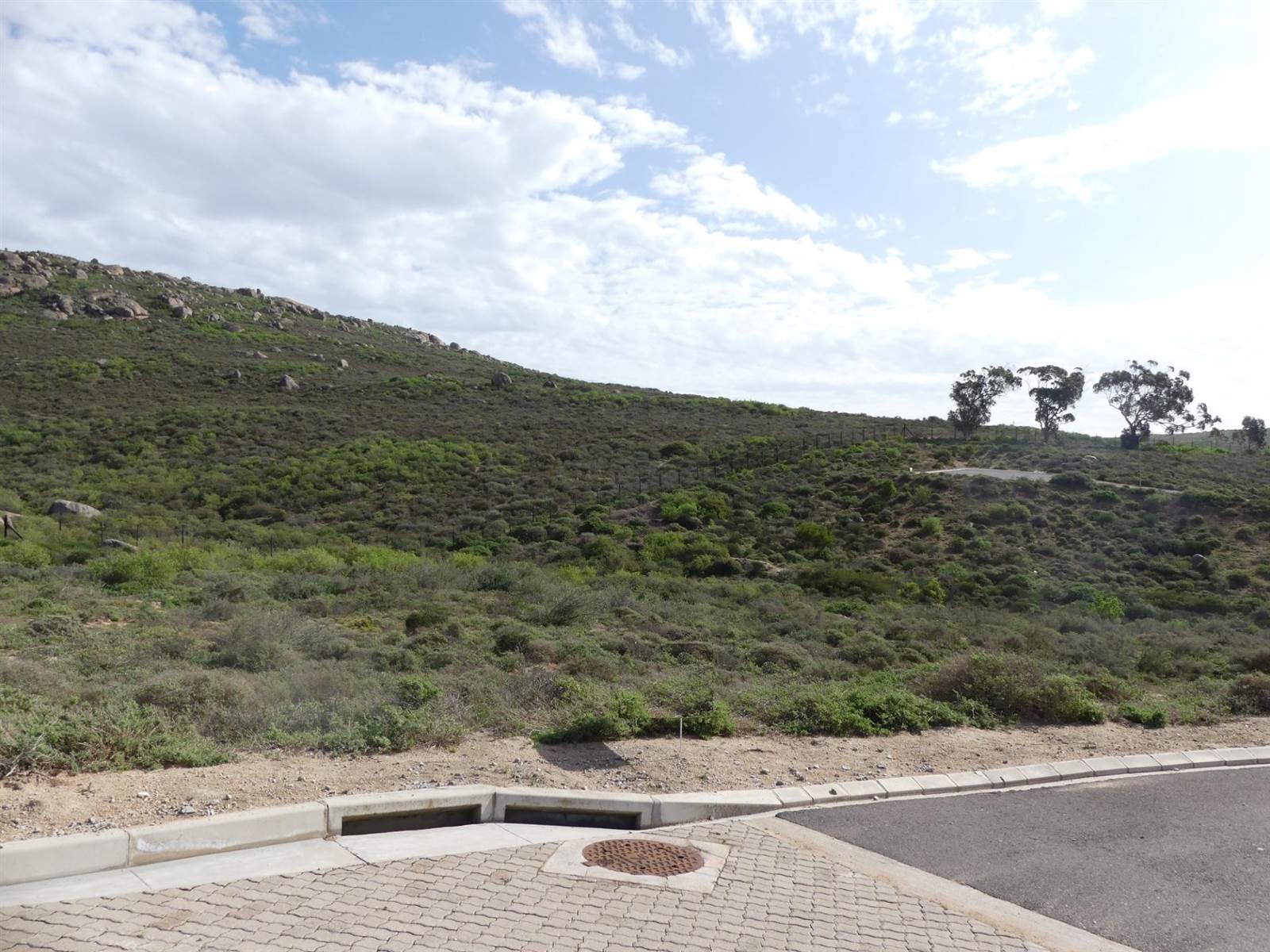 439 m² Land available in St Helena Views photo number 4