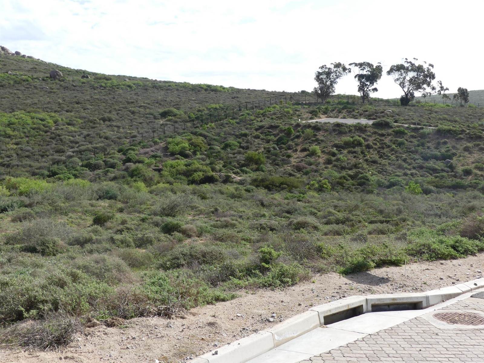 439 m² Land available in St Helena Views photo number 9