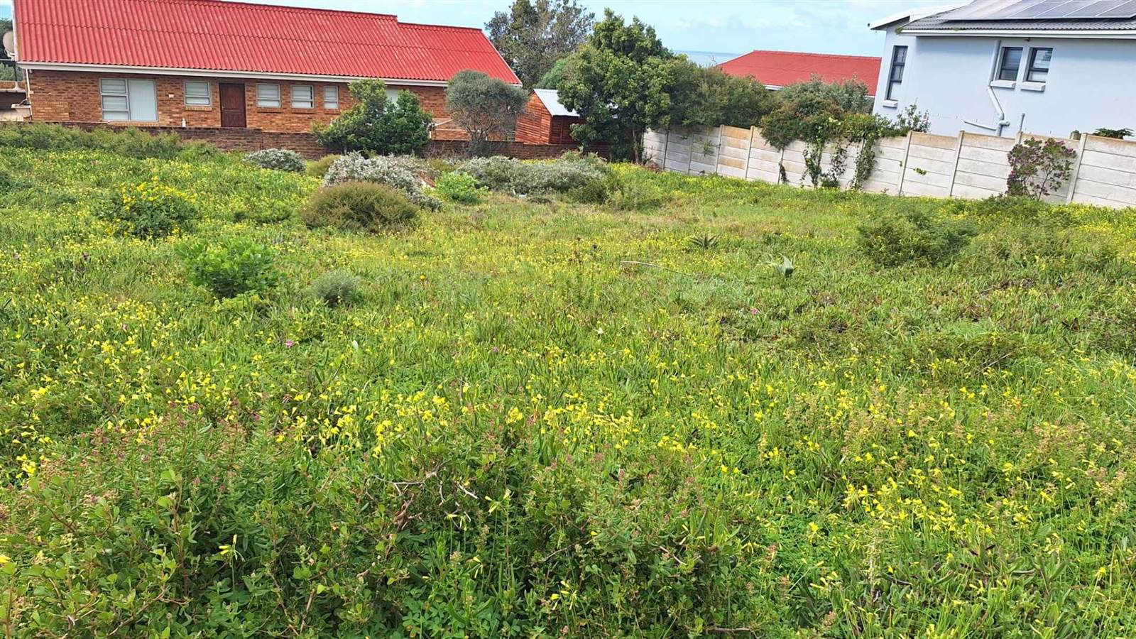 598 m² Land available in Boggomsbaai photo number 11