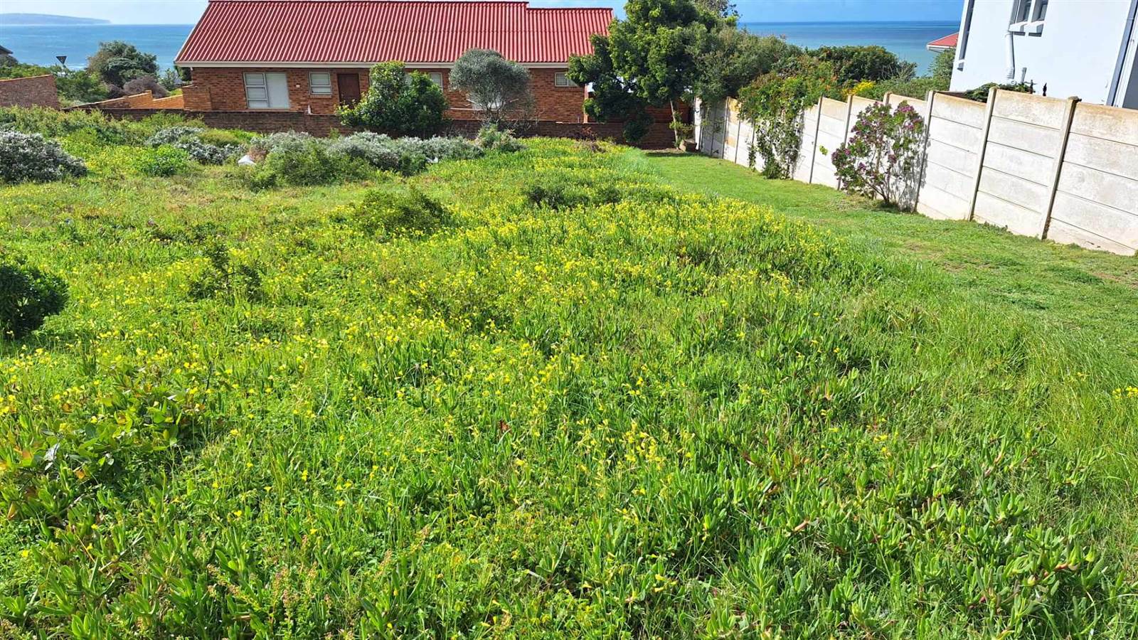 598 m² Land available in Boggomsbaai photo number 1