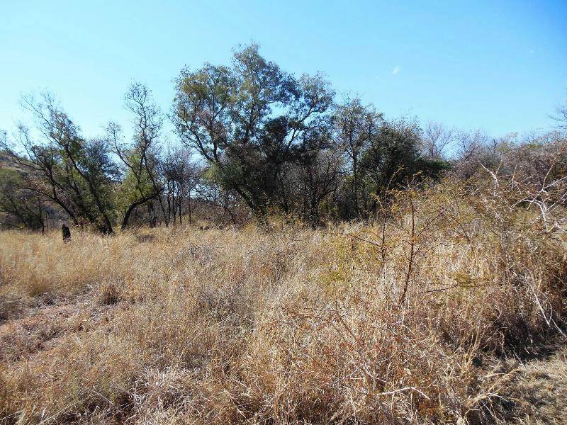 904 m² Land available in Thabazimbi photo number 2
