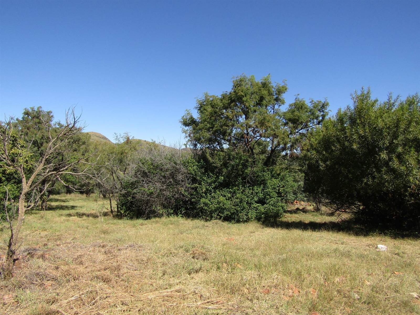 460 m² Land available in Seasons Lifestyle Estate photo number 6