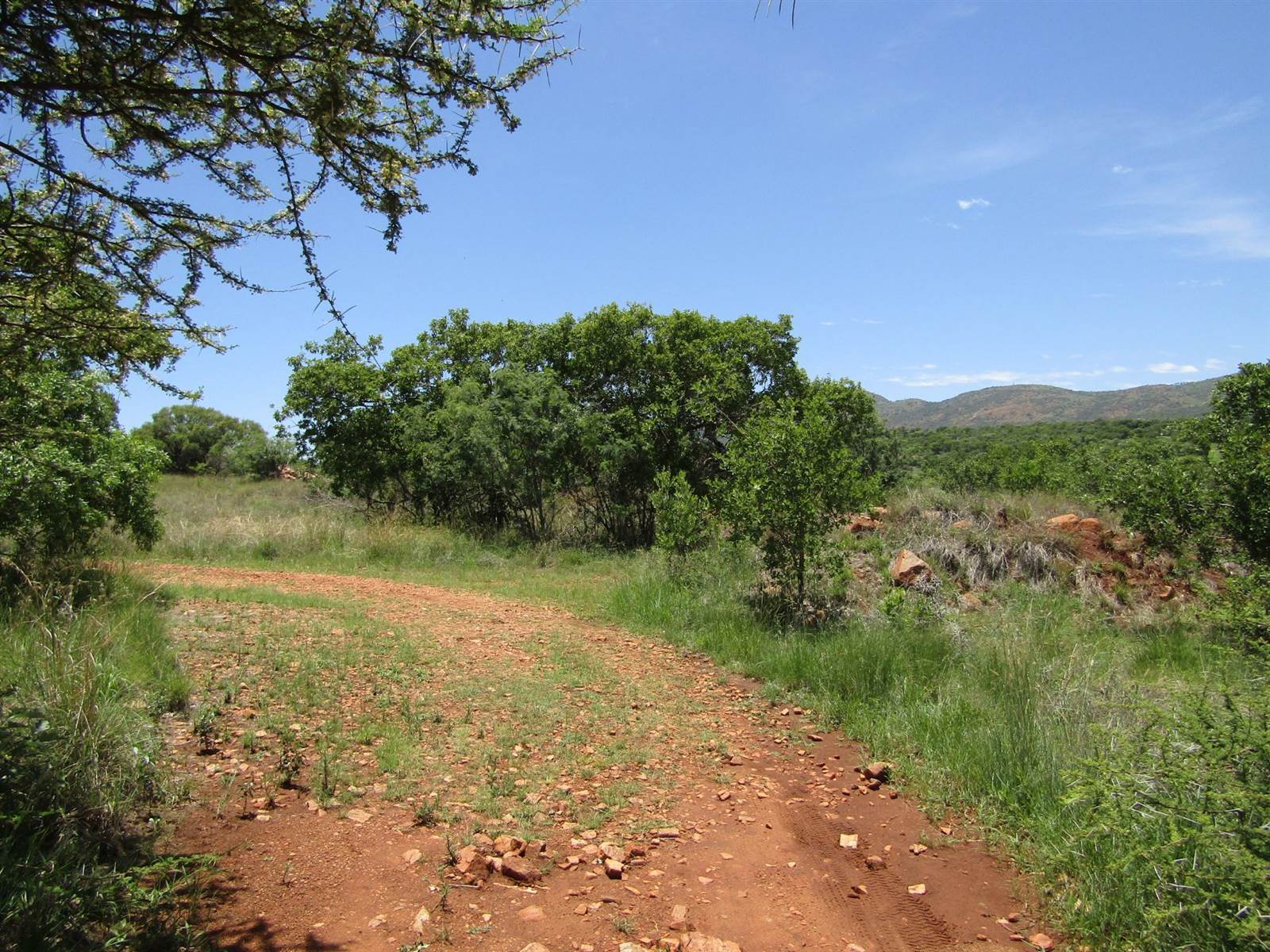 460 m² Land available in Seasons Lifestyle Estate photo number 3