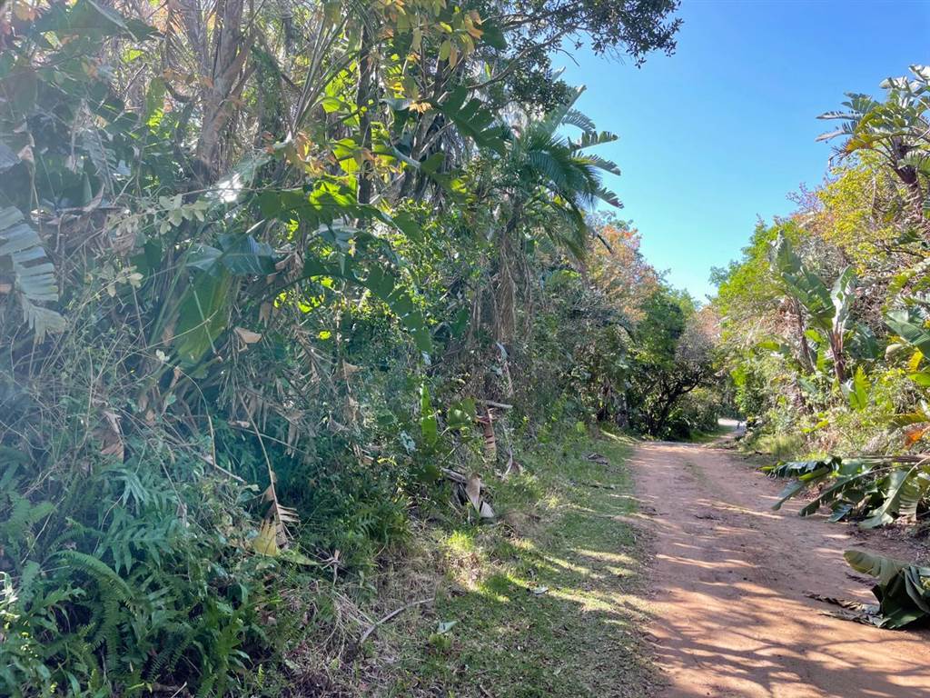 1743 m² Land available in Leisure Bay photo number 9